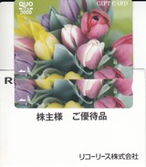 2017_06¥ê¥³¡¼¥ê¡¼¥¹³ô¼çÍ¥ÂÔ