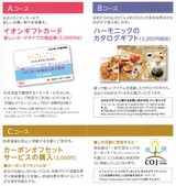 2017_06¥¤¥ª¥ó¥â¡¼¥ë³ô¼çÍ¥ÂÔÁªÂò