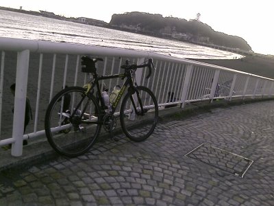 1201041534_381