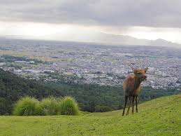 奈良奥山景色