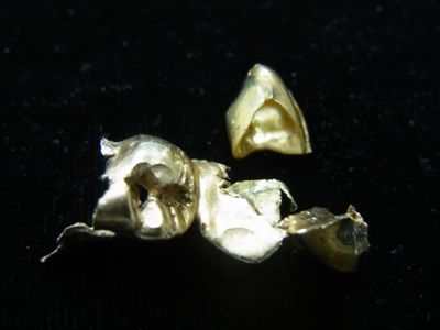 RIMG0018