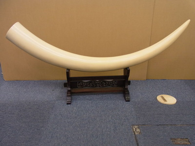 RIMG0177