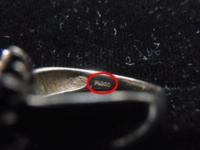 RIMG0131