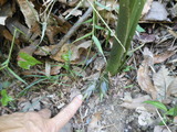 DSCN0869