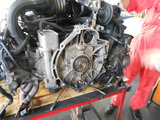 DSCN0619