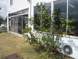 249d84b5.jpg