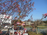DSCN0160