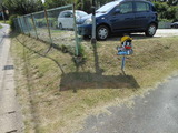 DSCN0911