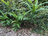 DSCN0870