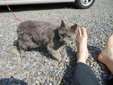 DSCN0272
