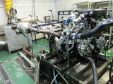 783e1678.jpg
