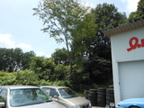 DSCN0972