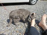 DSCN0274