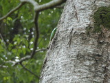 DSCN0960