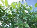 DSCN0872
