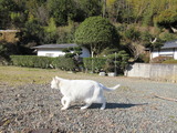 IMG_6561