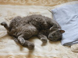 a54b3014.jpg