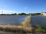 IMG_1056