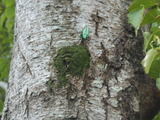 DSCN0964