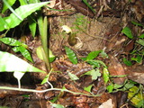 b3466682.jpg