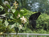 DSCN0977
