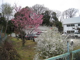 d9f72139.jpg