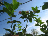 df906075.jpg