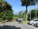 IMG_3870
