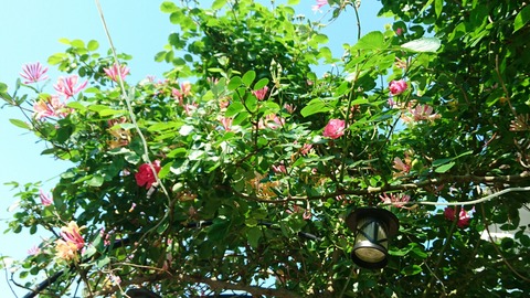 f0fda31c.jpg