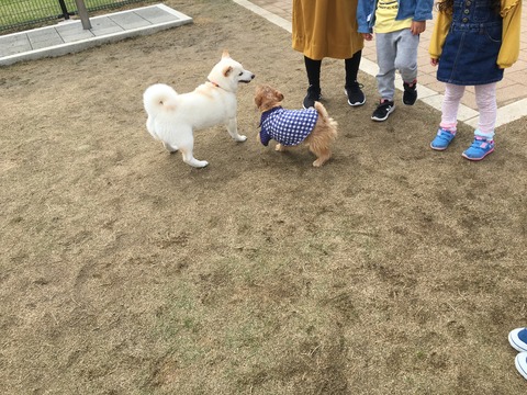 IMG_1010 - コピー