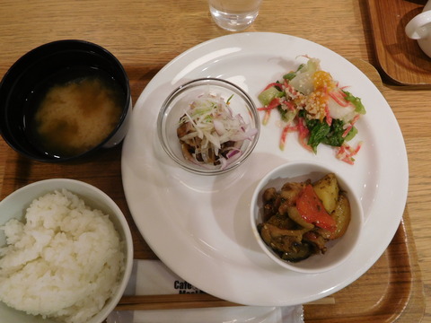 DSCN2463 - コピー
