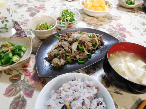 DSCN1233 - コピー