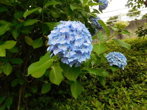 DSCN1628 - コピー