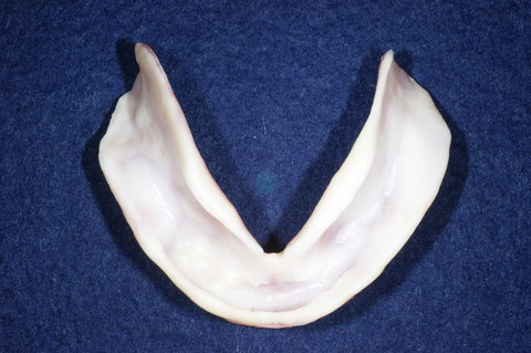 DSC05223