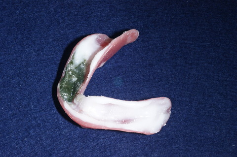 DSC05043