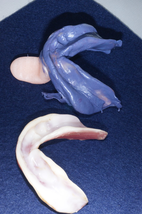 DSC05379