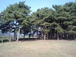 CA340005_R_R