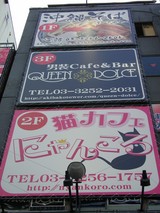 3dc7715a.JPG