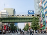 4771923b.jpg