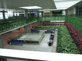 airport