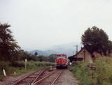 abc6c7f4.JPG