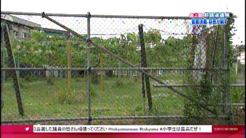 amarec20130624-002144