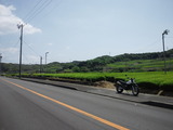 073f454f.jpg