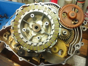 TS3S1586