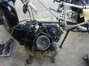 TS3S1501