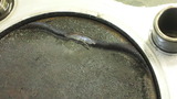 36c50990.jpg