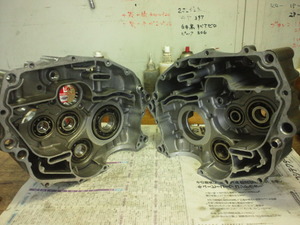 TS3S1455