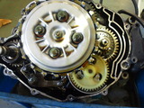 466e92a1.jpg