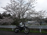 54f42536.jpg