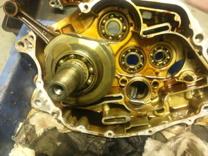 TS3S1577